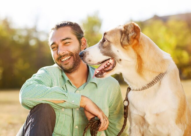 Mengapa Anjing Menggosok Wajah Mereka? Penyebab Umum yang Dijelaskan