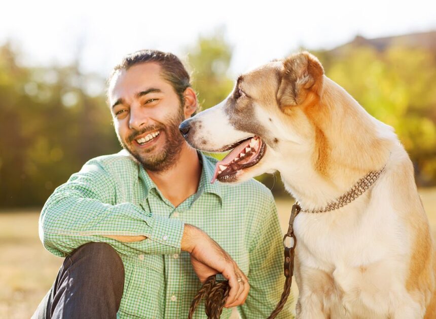 Mengapa Anjing Menggosok Wajah Mereka? Penyebab Umum yang Dijelaskan