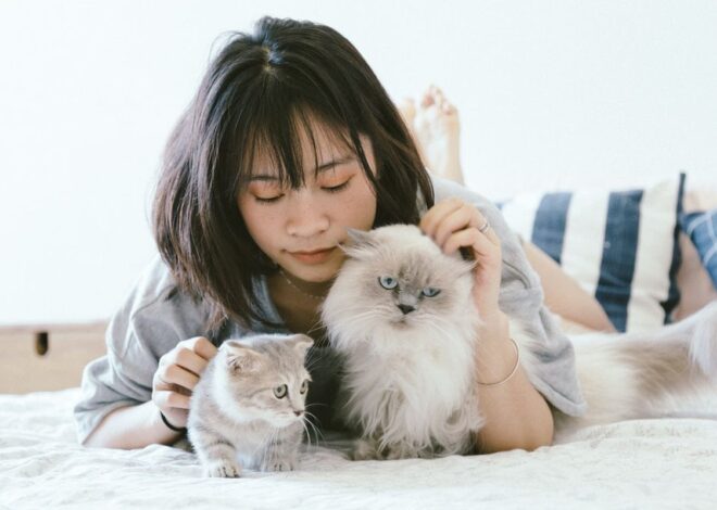 Cara menghadapi kehilangan kucing dan tidak bisa berhenti menangis
