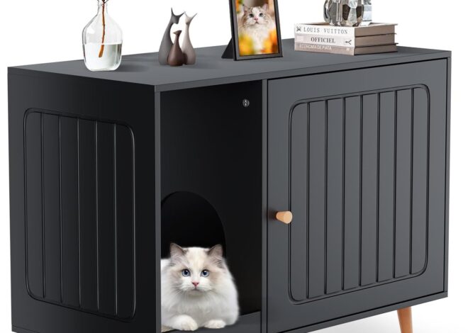 11 Furniture Box Kotor Terbaik Tahun 2025