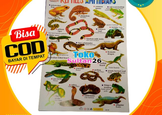 6 Reptil Kucing Mudah untuk Anak-anak