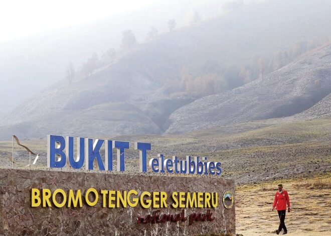 Mengunjungi Bukit Teletubbies Bromo, Surga Savana Hijau