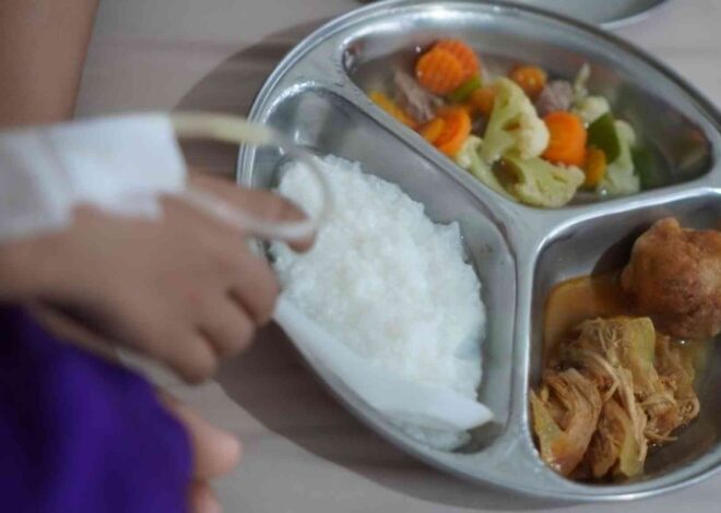 Program Makanan Gratis: Aman atau Cukup Kenyang?