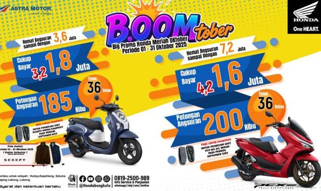9 Produk Terbaik Penghilang Bau dan Noda Kotoran Kucing Tahun 2025