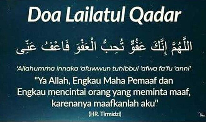 20 Fakta Menarik tentang Kuda