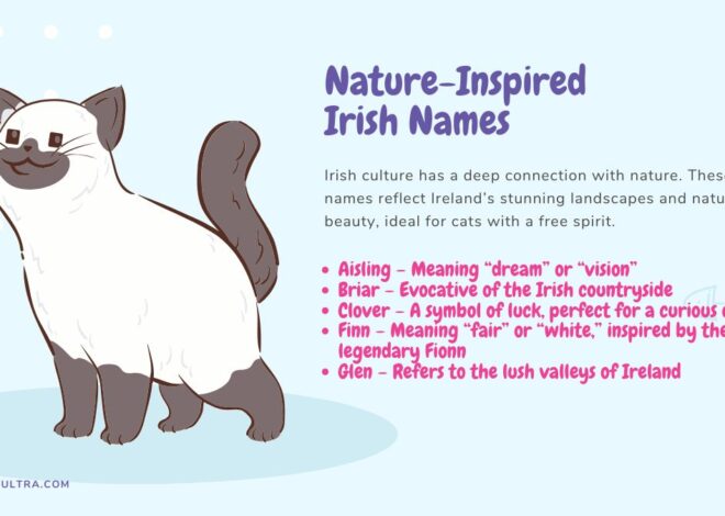 Nama Kucing Irlandia