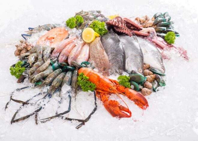 Makanan Laut untuk Ikan Air Asin dan Invertebrata