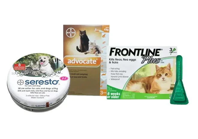 Apakah Neosporin Aman untuk Luka Kucing?