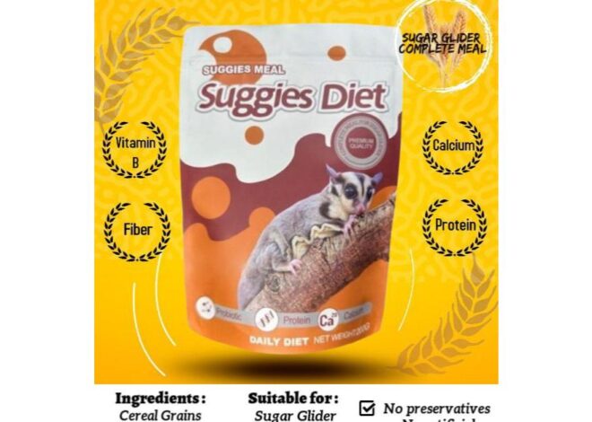 Resep Diet BML untuk Glider Gula
