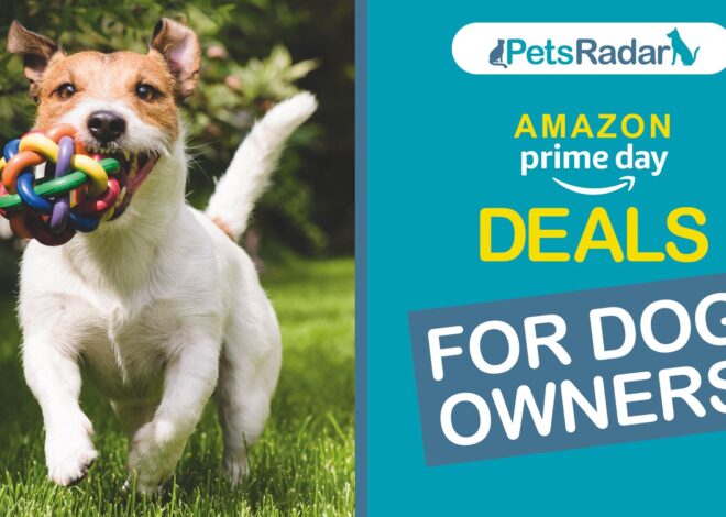 Empat Puluh Sembilan Penawaran Terbaik untuk Hari Pembelian Amazon 2025 untuk Hewan Peliharaan