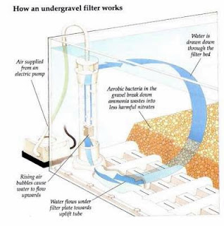 Panduan Penggunaan Filter Pasir di Akuarium